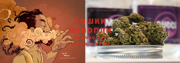 mdma Снежногорск