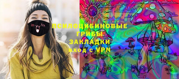 бошки Слюдянка