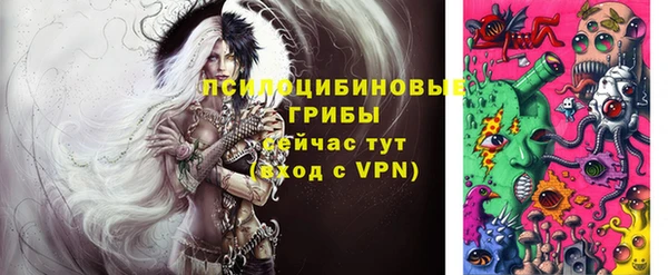 mdma Снежногорск