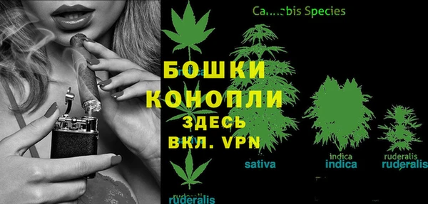 бошки Слюдянка