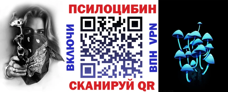 Купить закладки  Вяземский  Галлюциногенные грибы GOLDEN TEACHER 